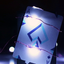 Transflux (4854274818187)
