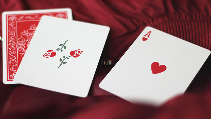 Red Roses (4854301065355)