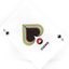 VIEWS Playing Cards (6634900717717)