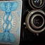 Elephant Playing Cards (Tundra) (6814754898069)