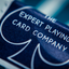 Modern Feel Jerry's Nuggets (Aqua) Playing Cards (6314805952661)