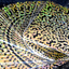 King Of Tiger Playing Cards (6585939624085)