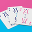 SHARD Playing Cards (6306631909525)