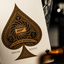 James Bond 007 Playing Cards (6304511525013)