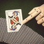 Belmont Playing Cards - BAM Playing Cards (6306628632725)