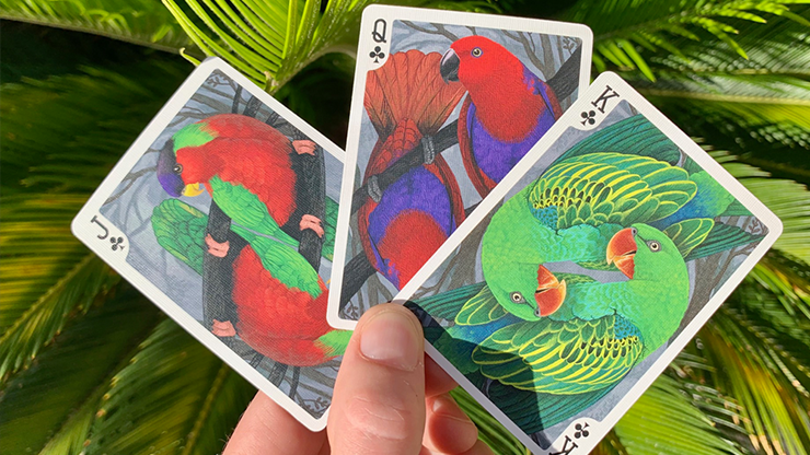 Bicycle Parrot Playing Cards (6911745163413)