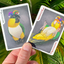 Bicycle Parrot Extinct Playing Cards (6911745523861)