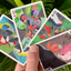 Bicycle Parrot Extinct Playing Cards (6911745523861)