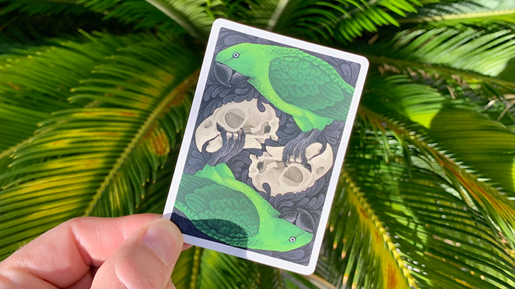 Bicycle Parrot Extinct Playing Cards (6911745523861)