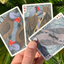 Bicycle Parrot Extinct Playing Cards (6911745523861)