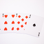 Cactus Playing Cards (6273517224085)