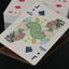 Tucan Playing Cards (Cinnamon Back) (6458665336981)