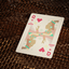 Tucan Playing Cards (Cinnamon Back) (6458665336981)