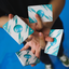2012 VP 113 Mint Playing Cards (6515690406037)
