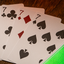 NOC (Green) The Luxury Collection Playing Cards