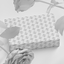 Polyantha V2 Playing Cards (7012447748245)