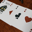 Bicycle Aviary (Orange) Playing Cards (6977696170133)