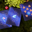 The Dream (Artic Edition) Playing Cards (7009723154581)