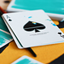 MYNOC: Brush Edition Playing Cards (7012444635285)