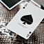 MYNOC: Snake Edition Playing Cards (7012445192341)