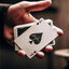 X Deck (Black) Playing Cards (7012448305301)