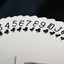 Bicycle Party Cup Playing Cards (7458358165724)