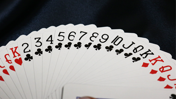Bicycle Party Cup Playing Cards (7458358165724)