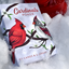 Cardinals Playing Cards (7458357641436)