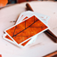 MYNOC: Leaf Edition Playing Cards (7458358296796)