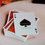 MYNOC: Leaf Edition Playing Cards (7458358296796)