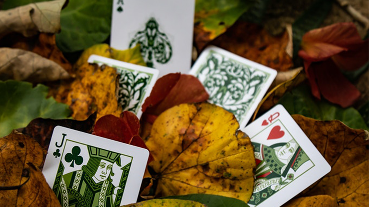 Leaves (5988499914901)