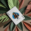 Smokey Bear Brown