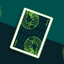 Axis - BAM Playing Cards (4825092358283)