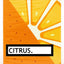 Citrus - BAM Playing Cards (5988491296917)