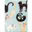 Meow Star Playing Cards (7009723678869)