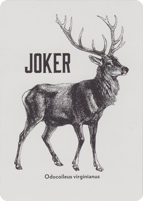 Vintage Plaid V2 - Arizona Red (6646310305941)