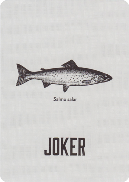 Vintage Plaid V2 - Arizona Red (6646310305941)