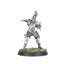 High Elf Blood Bowl Team: The Caledor Dragons