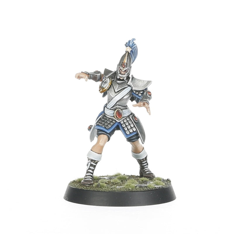 High Elf Blood Bowl Team: The Caledor Dragons