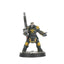 Palanite Enforcer Captains & Sergeants