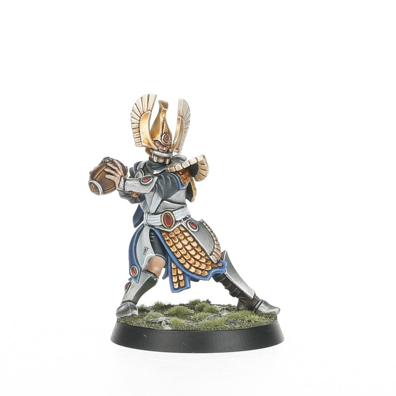 High Elf Blood Bowl Team: The Caledor Dragons
