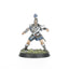 High Elf Blood Bowl Team: The Caledor Dragons