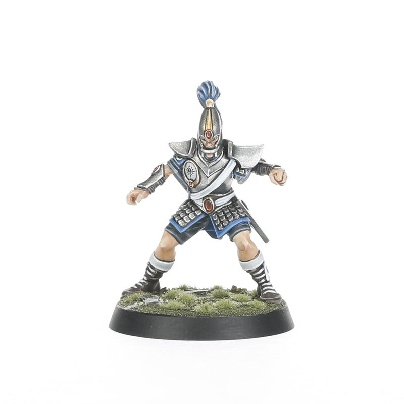 High Elf Blood Bowl Team: The Caledor Dragons