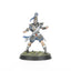 High Elf Blood Bowl Team: The Caledor Dragons