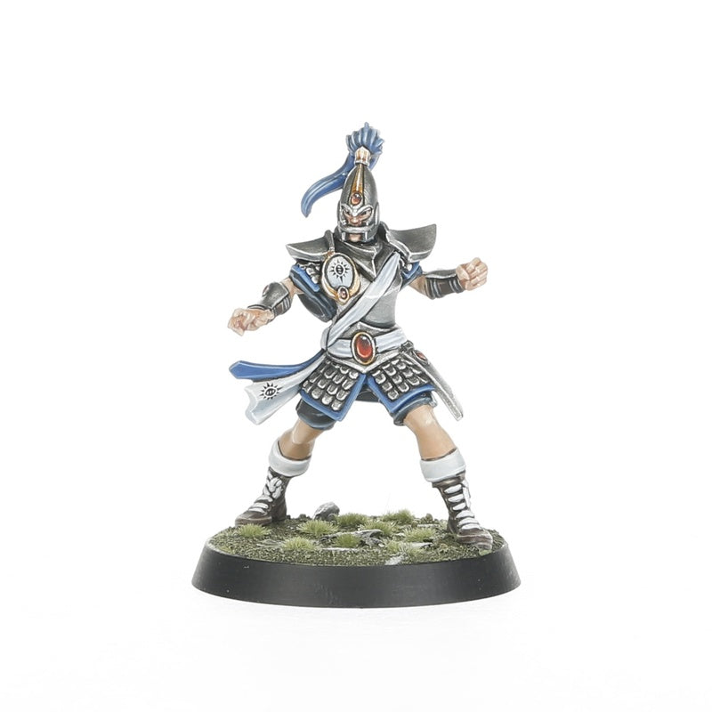 High Elf Blood Bowl Team: The Caledor Dragons