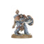 Wolf Guard Headtakers