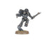 Raptors / Warp Talons