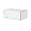 BCW Graded Trading Card Card Box
