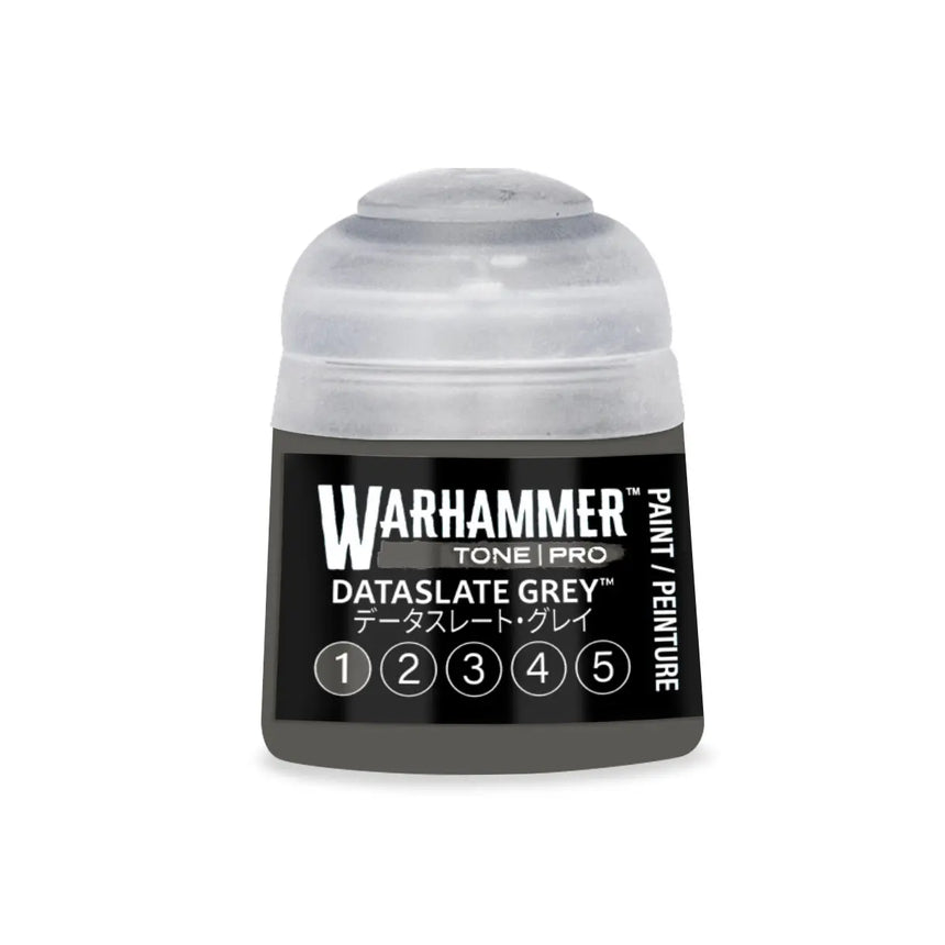 Tone Pro Paint: Dataslate Grey
