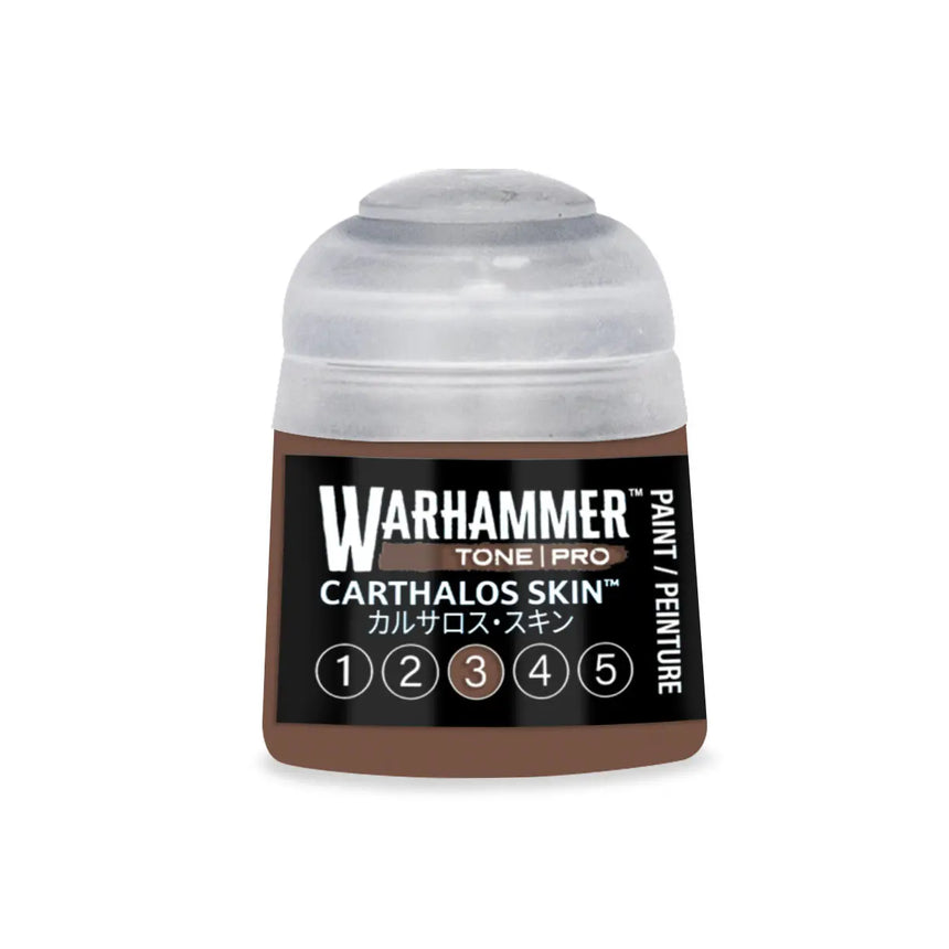 Tone Pro Paint: Carthalos Skin